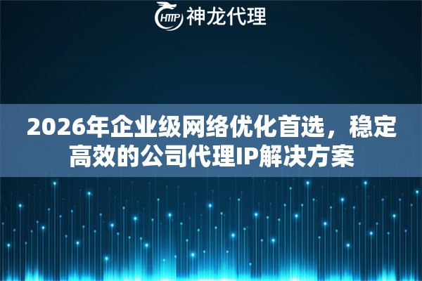2026年企业级网络优化首选，稳定高效的公司代理IP解决方案