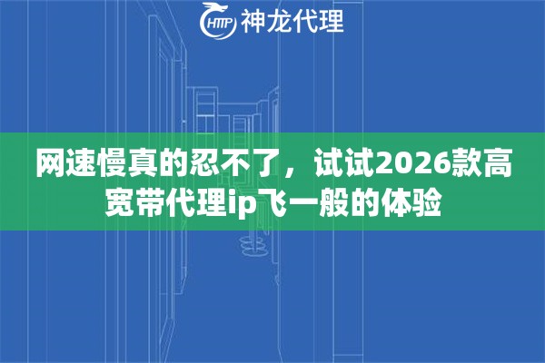 网速慢真的忍不了，试试2026款高宽带代理ip飞一般的体验