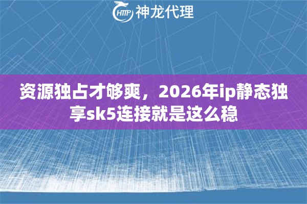 资源独占才够爽，2026年ip静态独享sk5连接就是这么稳