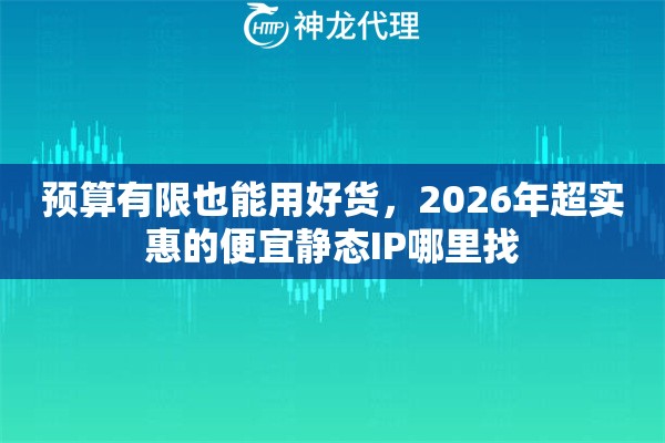 预算有限也能用好货，2026年超实惠的便宜静态IP哪里找