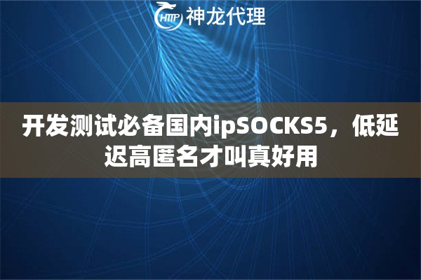 开发测试必备国内ipSOCKS5，低延迟高匿名才叫真好用