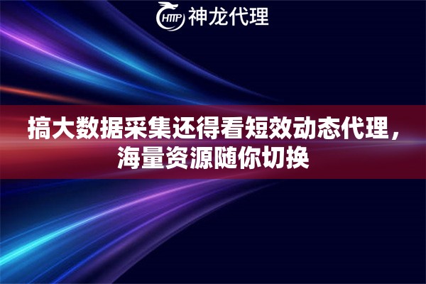 搞大数据采集还得看短效动态代理，海量资源随你切换
