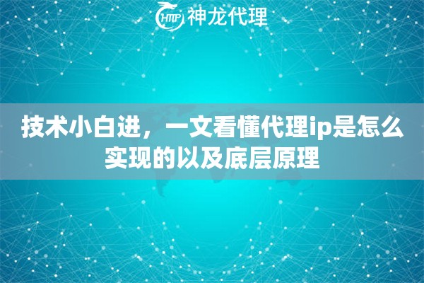 技术小白进，一文看懂代理ip是怎么实现的以及底层原理