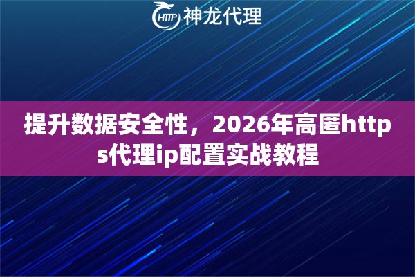 提升数据安全性，2026年高匿https代理ip配置实战教程