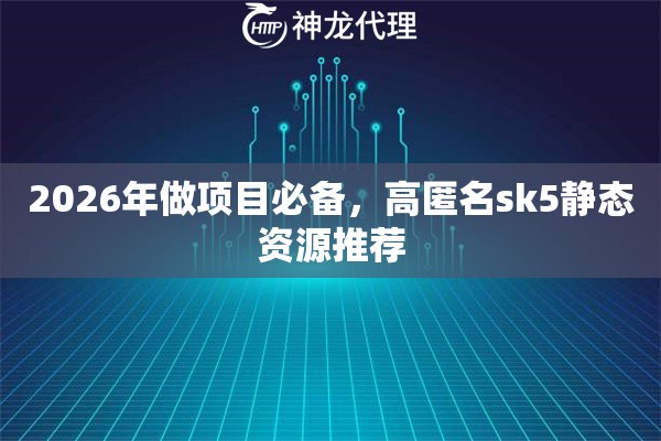 2026年做项目必备，高匿名sk5静态资源推荐