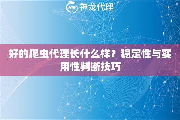 好的爬虫代理长什么样？稳定性与实用性判断技巧