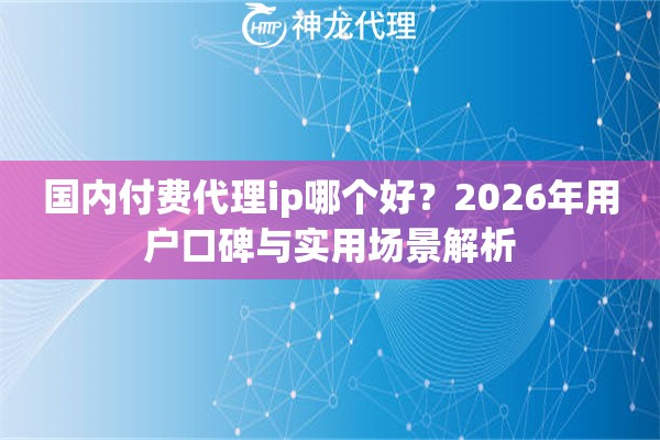 国内付费代理ip哪个好？2026年用户口碑与实用场景解析