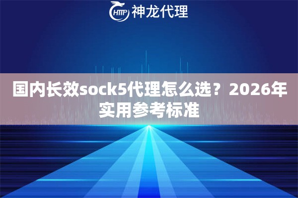 国内长效sock5代理怎么选？2026年实用参考标准