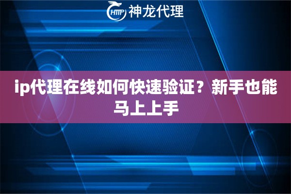 ip代理在线如何快速验证？新手也能马上上手