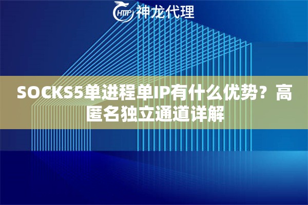 SOCKS5单进程单IP有什么优势？高匿名独立通道详解