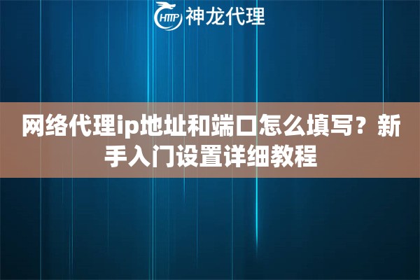 网络代理ip地址和端口怎么填写？新手入门设置详细教程