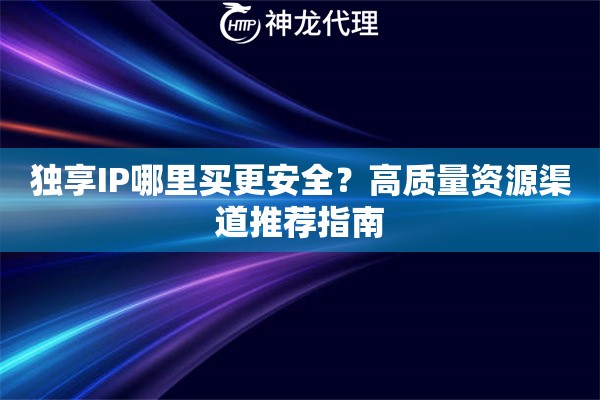 独享IP哪里买更安全？高质量资源渠道推荐指南
