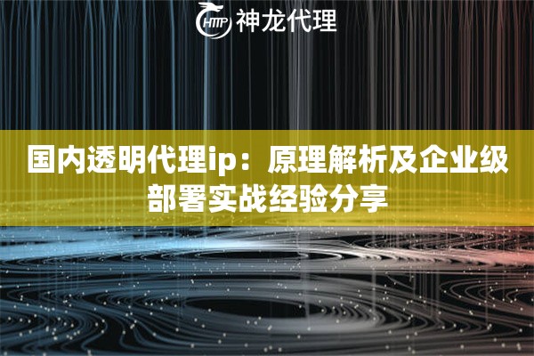 国内透明代理ip：原理解析及企业级部署实战经验分享