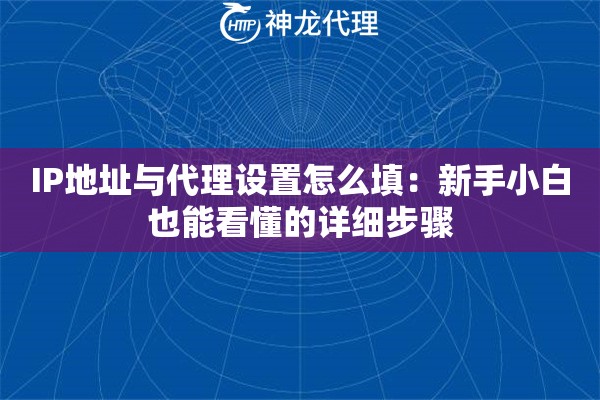 IP地址与代理设置怎么填：新手小白也能看懂的详细步骤