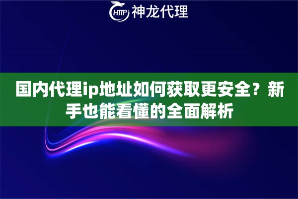 国内代理ip地址如何获取更安全?新手也能看懂的全面解析 国内代理ip地址如何获取更安全?新手也能看懂的全面解析