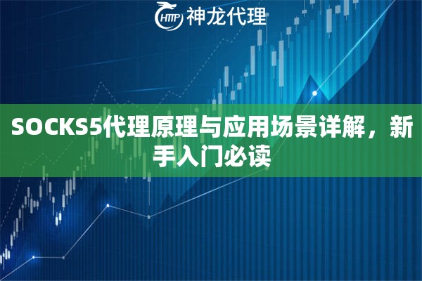 SOCKS5代理原理与应用场景详解，新手入门必读