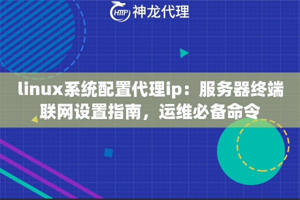 linux系统配置代理ip：服务器终端联网设置指南，运维必备命令