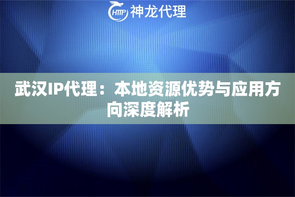武汉IP代理：本地资源优势与应用方向深度解析
