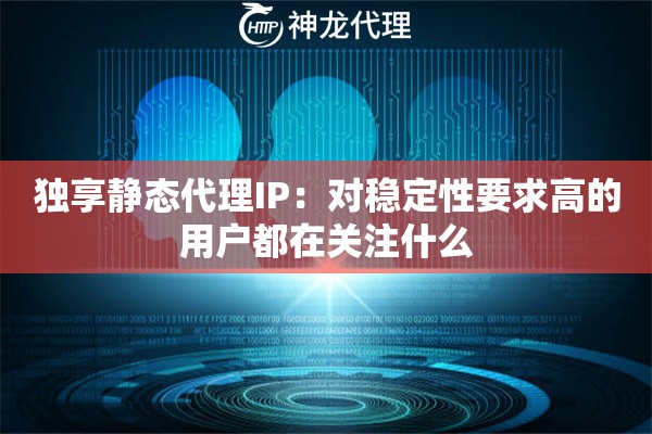 独享静态代理IP：对稳定性要求高的用户都在关注什么