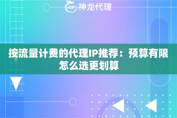 按流量计费的代理IP推荐：预算有限怎么选更划算