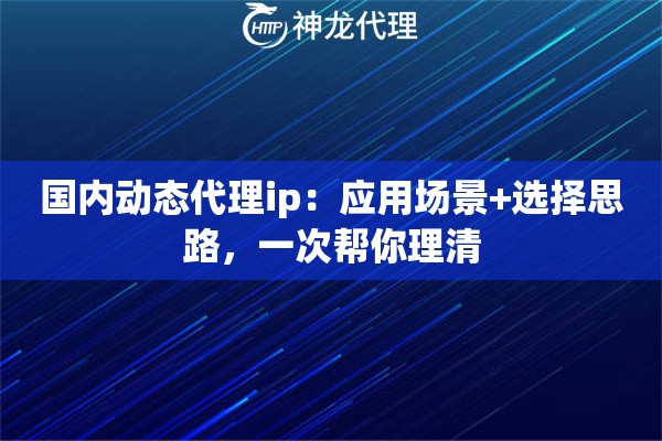 国内动态代理ip：应用场景+选择思路，一次帮你理清