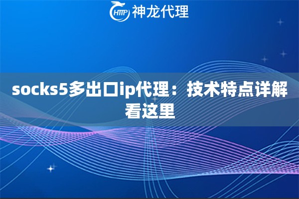 socks5多出口ip代理：技术特点详解看这里
