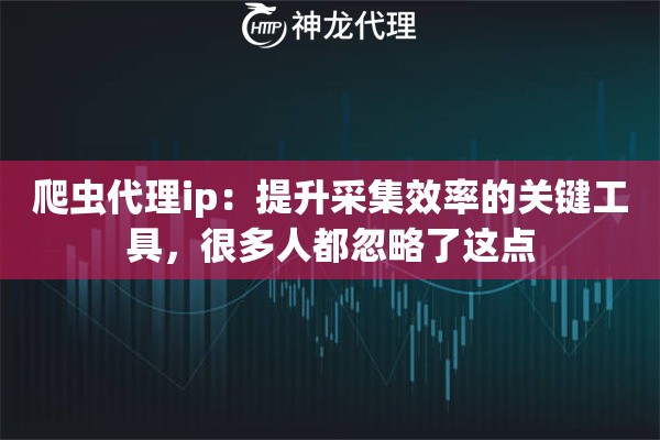 爬虫代理ip：提升采集效率的关键工具，很多人都忽略了这点