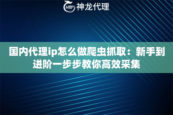 国内代理ip怎么做爬虫抓取：新手到进阶一步步教你高效采集