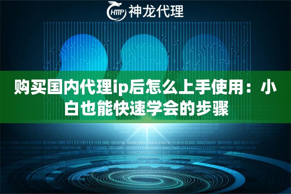 购买国内代理ip后怎么上手使用：小白也能快速学会的步骤