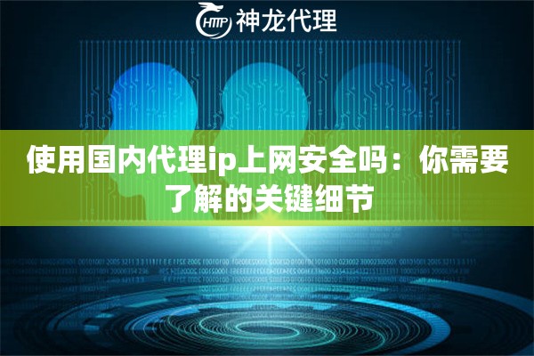 使用国内代理ip上网安全吗：你需要了解的关键细节