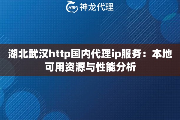 湖北武汉http国内代理ip服务：本地可用资源与性能分析