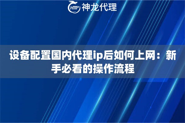设备配置国内代理ip后如何上网：新手必看的操作流程