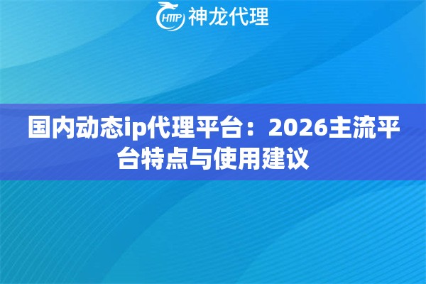 国内动态ip代理平台：2026主流平台特点与使用建议