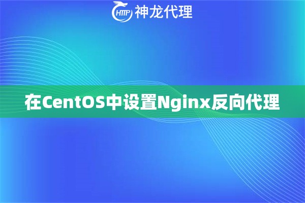 在CentOS中设置Nginx反向代理