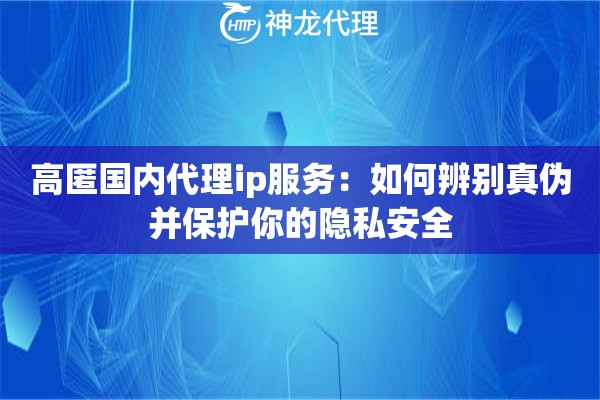 高匿国内代理ip服务：如何辨别真伪并保护你的隐私安全