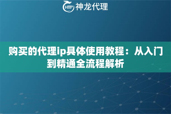 购买的代理ip具体使用教程：从入门到精通全流程解析