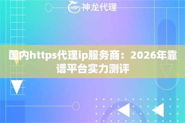 国内https代理ip服务商：2026年靠谱平台实力测评