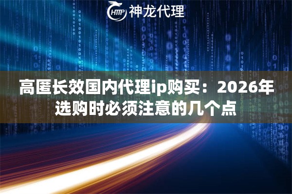 高匿长效国内代理ip购买：2026年选购时必须注意的几个点