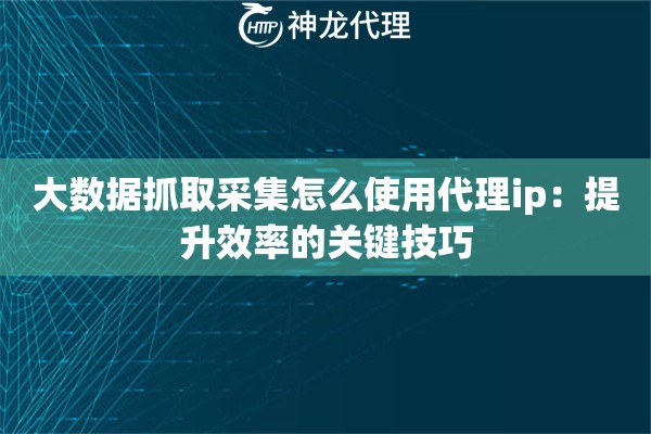 大数据抓取采集怎么使用代理ip：提升效率的关键技巧