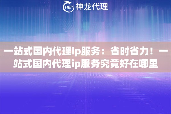 一站式国内代理ip服务：省时省力！一站式国内代理ip服务究竟好在哪里