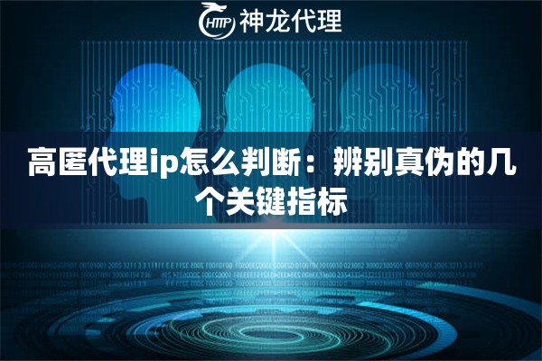 高匿代理ip怎么判断：辨别真伪的几个关键指标