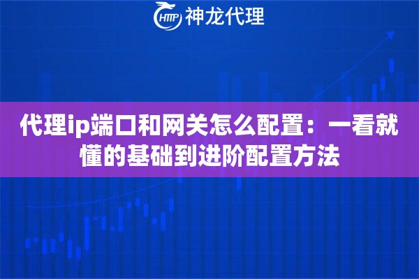 代理ip端口和网关怎么配置：一看就懂的基础到进阶配置方法