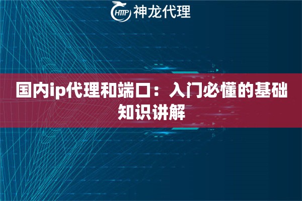 国内ip代理和端口:入门必懂的基础知识讲解 国内ip代理和端口:入门必懂的基础知识讲解
