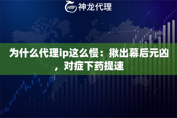 为什么代理ip这么慢：揪出幕后元凶，对症下药提速