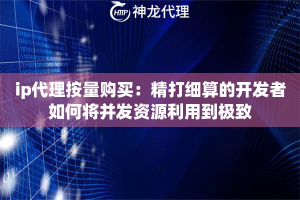 ip代理按量购买：精打细算的开发者如何将并发资源利用到极致