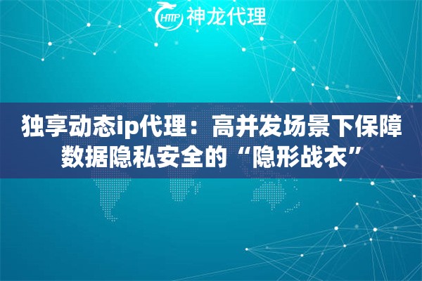 独享动态ip代理：高并发场景下保障数据隐私安全的“隐形战衣”