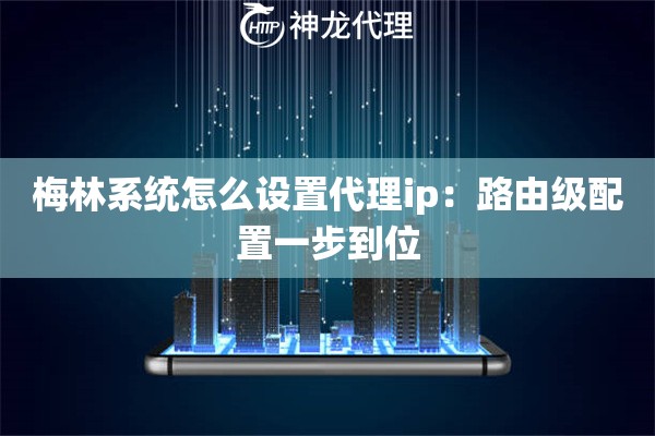 梅林系统怎么设置代理ip：路由级配置一步到位