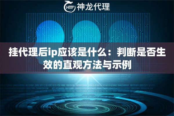 挂代理后ip应该是什么：判断是否生效的直观方法与示例