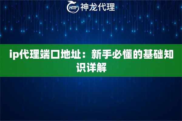 ip代理端口地址：新手必懂的基础知识详解
