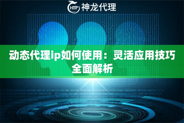 动态代理ip如何使用：灵活应用技巧全面解析